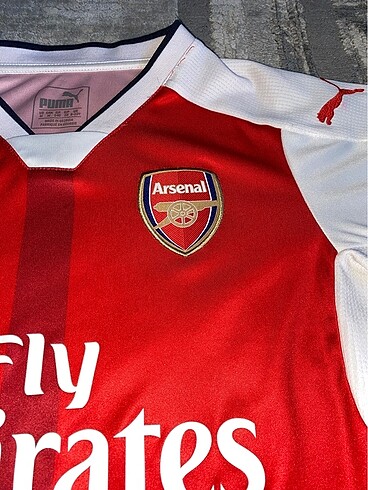Puma arsenal forma