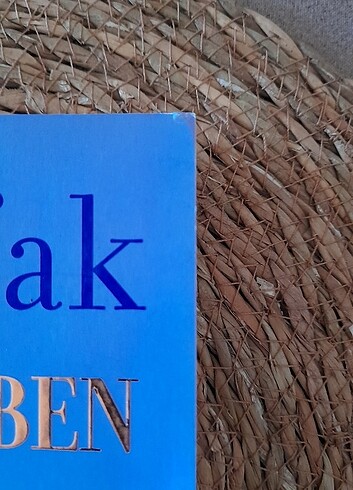 Beden Renk Ustam Ve Ben / Elif Şafak