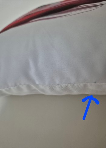 Darling in the Franxx Zero Two Yastık - Görsel 5