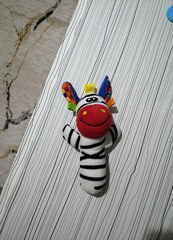 Zebra cingirak