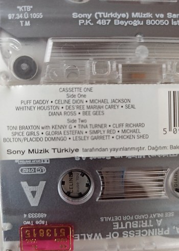 Diana tribute 2 li kaset - Görsel 4