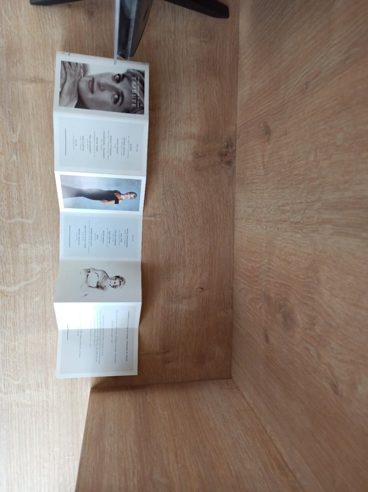 Diana tribute 2 li kaset - Görsel 5