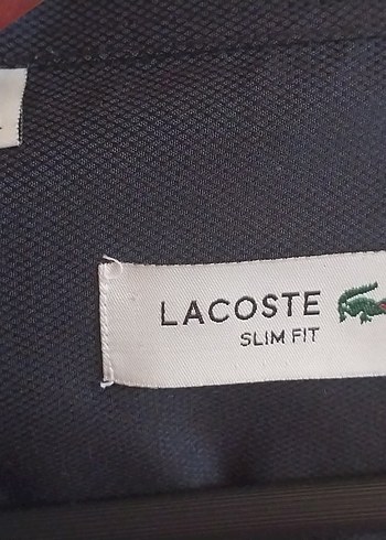 LACOSTE XXL Erkek Lacivert Uzun Kollu Gömlek - Görsel 3