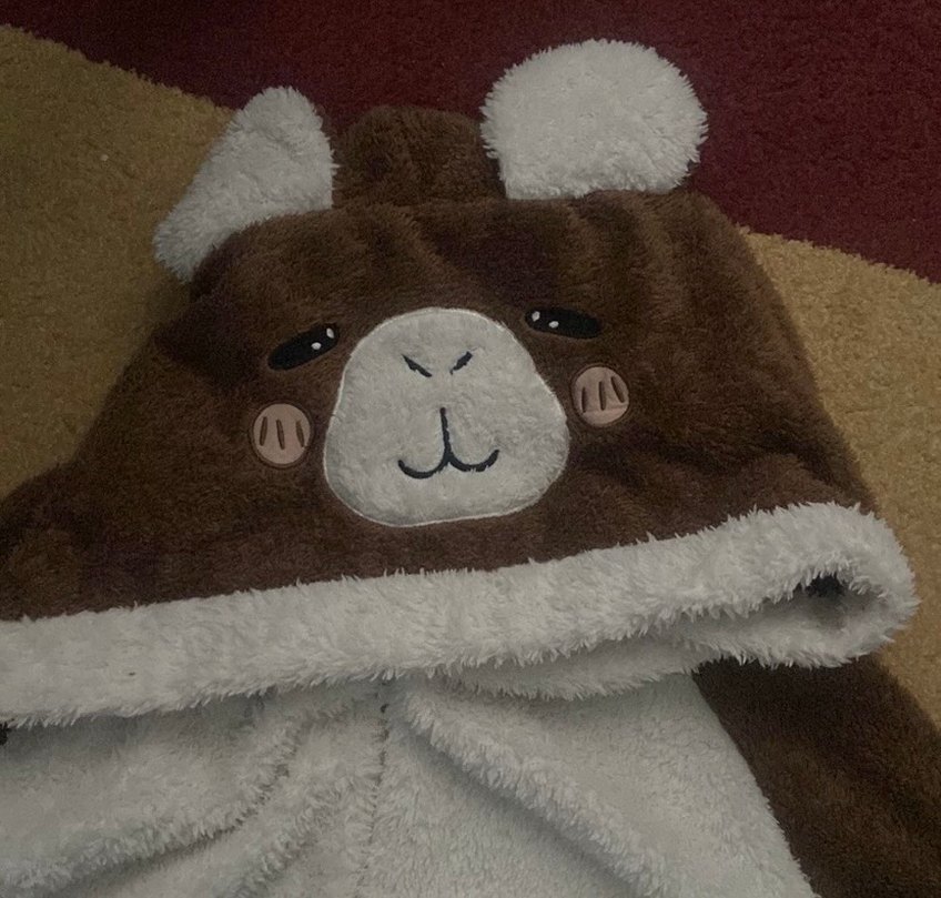 Kahverengi Ayı Desenli Uyku Tulumu - Görsel 4