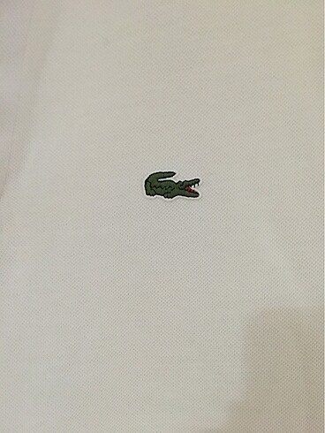 m Beden lacoste polo regular tişört
