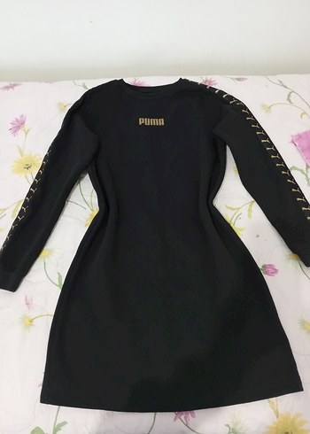 Puma m