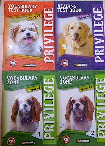 Yds publishing vocabulary zone 1 ve 2, vocabulary test book, rea