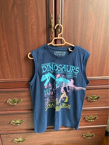 LSW 15-16 yaş erkek çocuk T Shirt