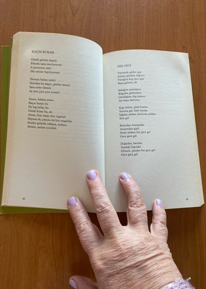 Sezen Aksu Eksik Şiir - Görsel 2