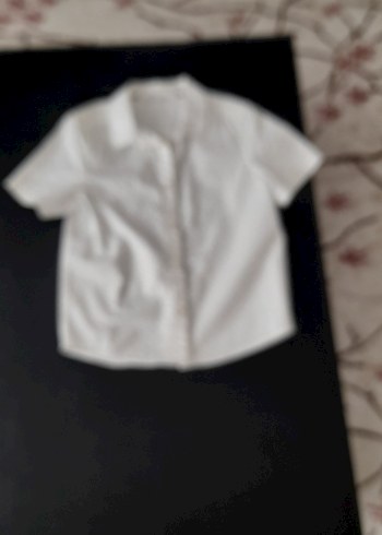 Standart Beden Beden beyaz Renk erkek çocuk Kısa Kollu Düğmeli Gömlek