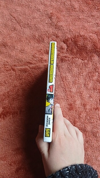  KAHRAMALIK AKADEMİM MANGA