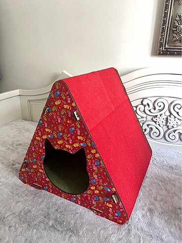 kedi evi