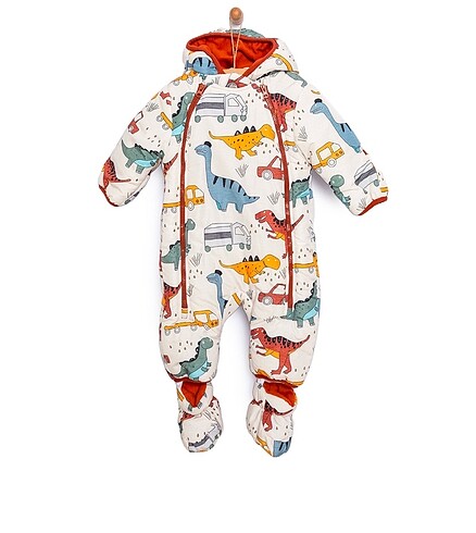 Astronot mont