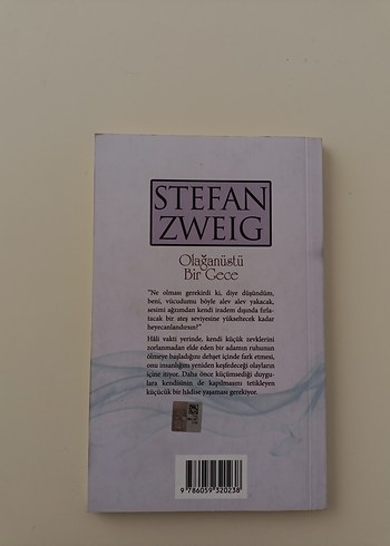Stefan Zweig - Olağanüstü Bir Gece Romanı