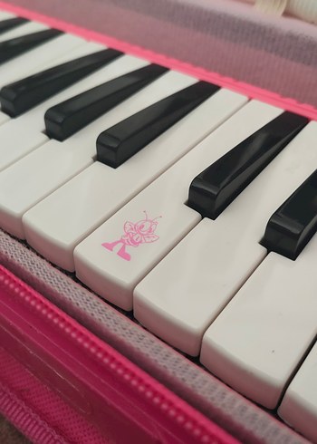 Lino 37K Pembe Melodika 37 Tuşlu Çantalı - Görsel 4