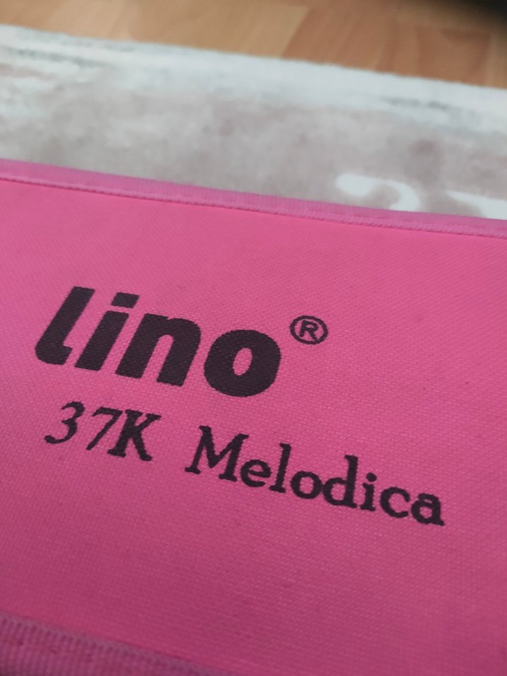 Lino 37K Pembe Melodika 37 Tuşlu Çantalı - Görsel 2