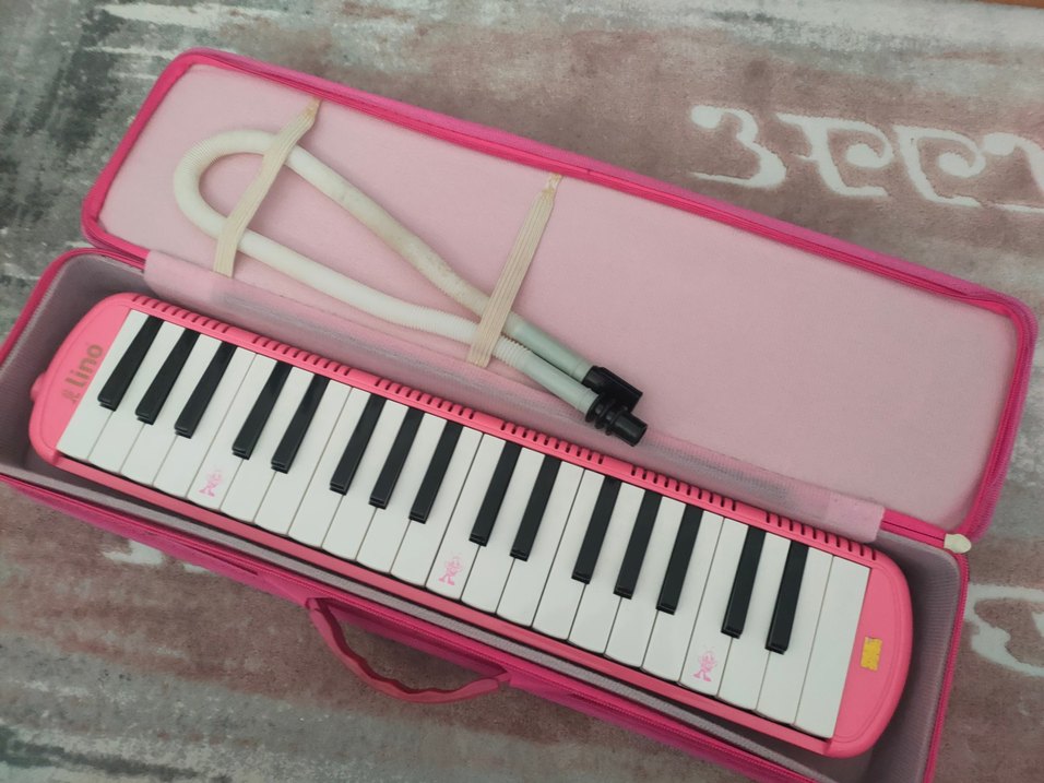 Lino 37K Pembe Melodika 37 Tuşlu Çantalı - Görsel 3