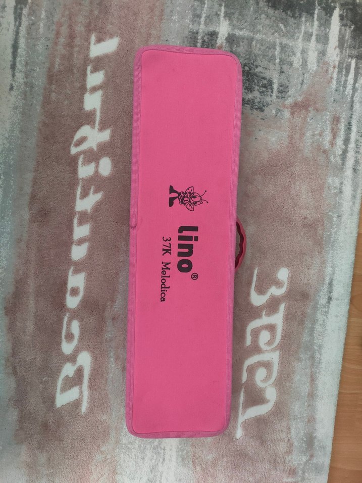 Lino 37K Pembe Melodika 37 Tuşlu Çantalı - Görsel 5