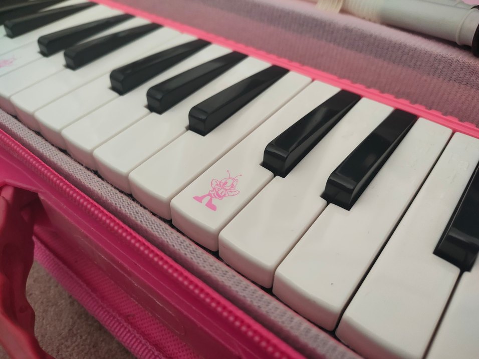 Lino 37K Pembe Melodika 37 Tuşlu Çantalı - Görsel 4