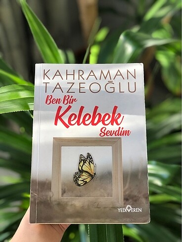 Ben Bir Kelebek Sevdim