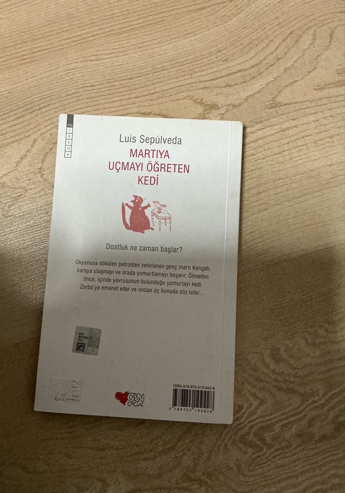 Martıya Uçmayı Öğreten Kedi - Luis Sepúlveda - Görsel 2