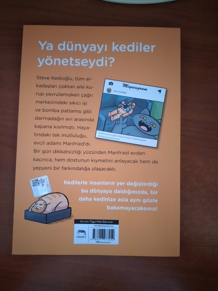 Adam Manfried Çizgi Romanı - Görsel 3