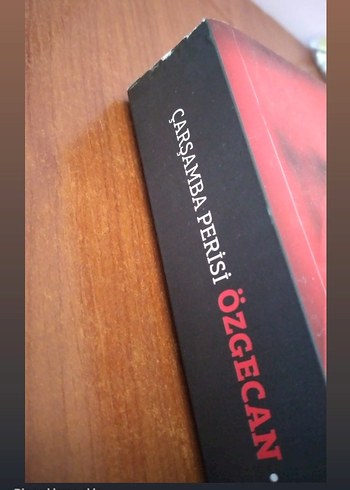 Çarşamba Perisi Özgecan - Bahaettin Kabahasanoğlu Roman - Görsel 2