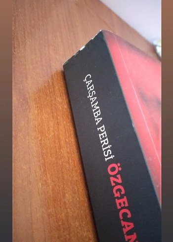 Çarşamba Perisi Özgecan - Bahaettin Kabahasanoğlu Roman - Görsel 3