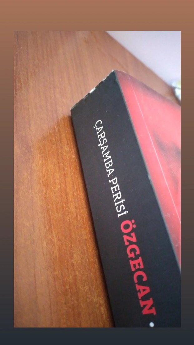 Çarşamba Perisi Özgecan - Bahaettin Kabahasanoğlu Roman - Görsel 3