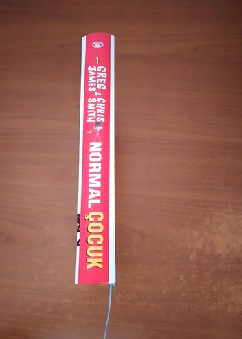 Normal Çocuk Kitap - Görsel 4
