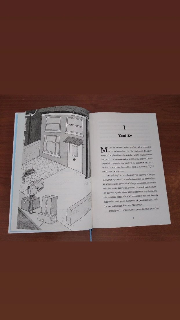 Normal Çocuk Kitap - Görsel 3