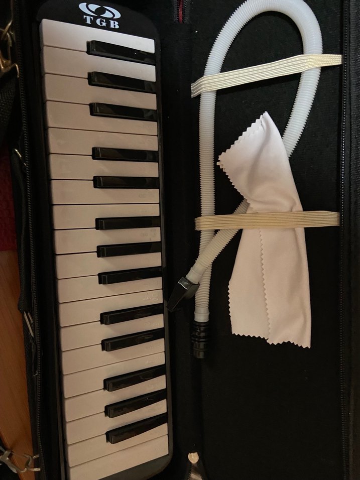 Bordo Melodika ve Aksesuar Seti - Görsel 3