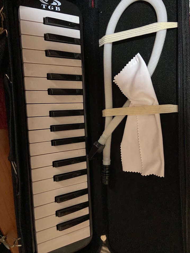 Bordo Melodika ve Aksesuar Seti - Görsel 2