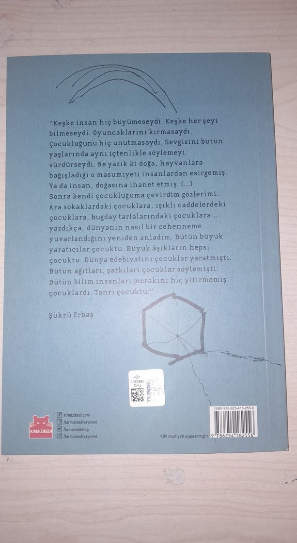 Yalnızca Çocuklar Uzaklara Bakar - Şükrü Erbaş - Görsel 2