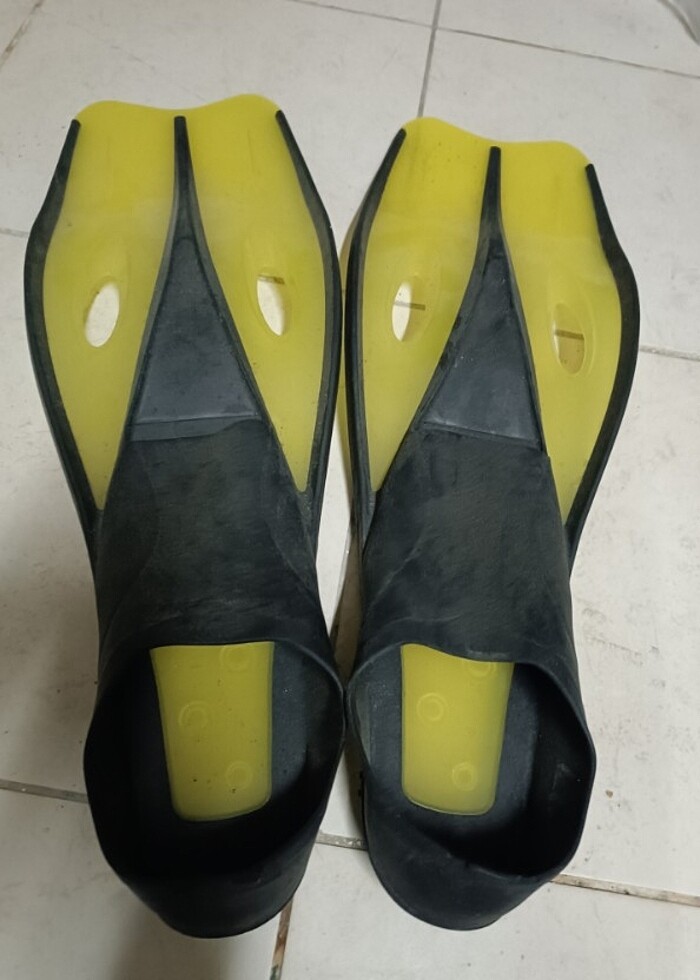 Dalgıç paleti - Görsel 2