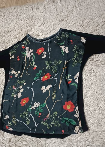 zara bayan bluz