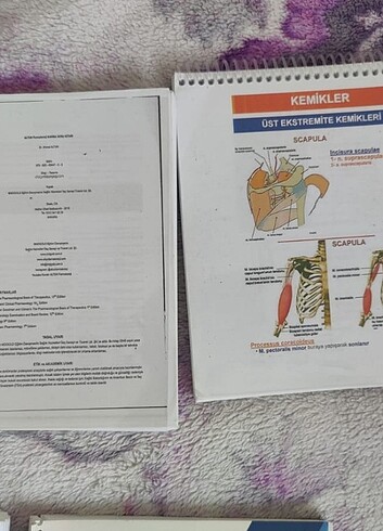 Tus kitapları - Görsel 16