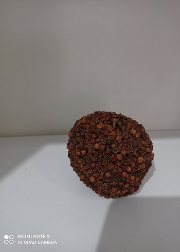 karanfilli elma - Görsel 3