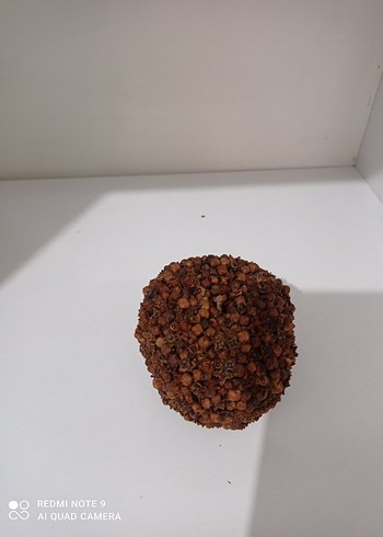 karanfilli elma - Görsel 2