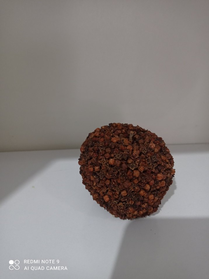 karanfilli elma - Görsel 3