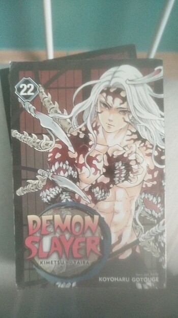  Beden Renk Demon Slayer 21,22 manga 