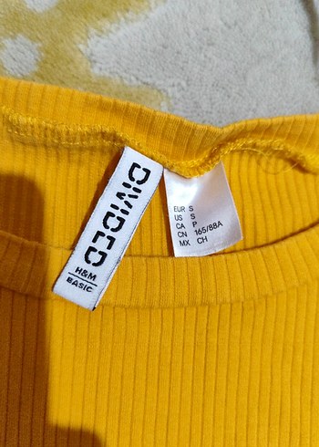 H&M H&M crop