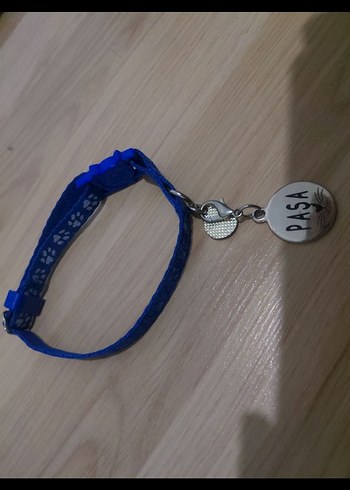 Parlak Mavi Kedi Tasması ve İsimlik - Görsel 2