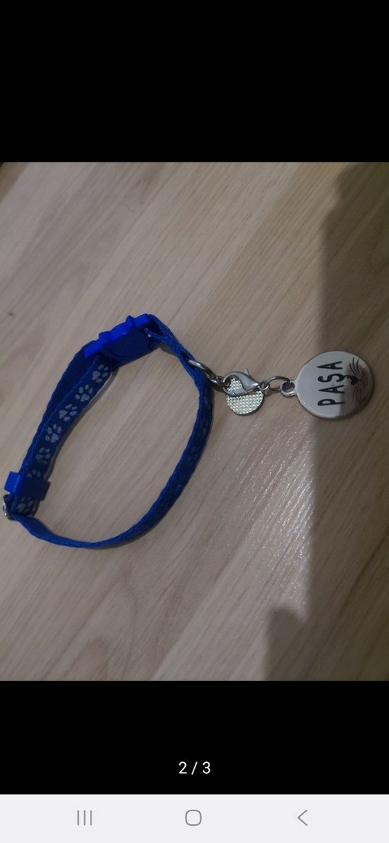 Parlak Mavi Kedi Tasması ve İsimlik - Görsel 2