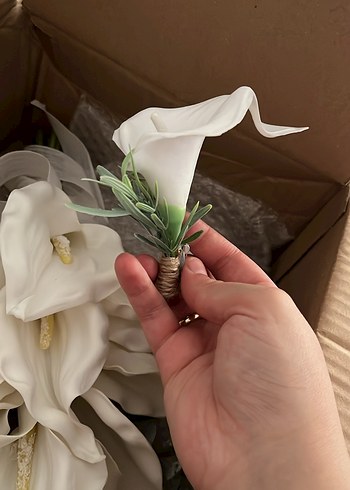 Gelin çiçeği - Görsel 3