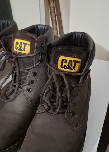 Cat 45