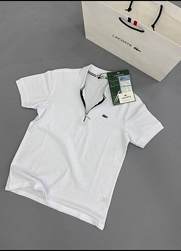 Erkek Lacoste Tişört 