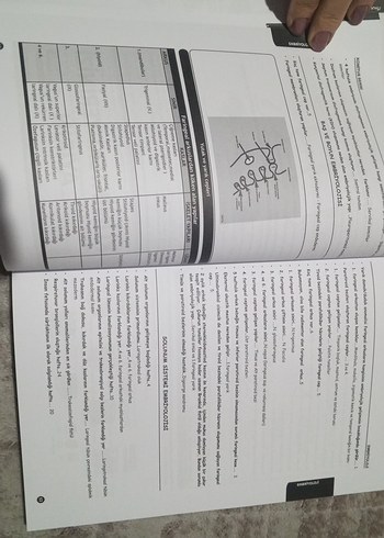 KomiTUS 2. Sınıflar için Spot Bilgiler Kitabı - Görsel 4