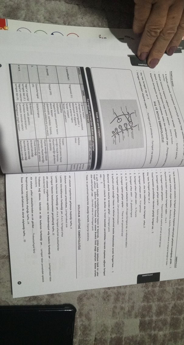 KomiTUS 2. Sınıflar için Spot Bilgiler Kitabı - Görsel 4