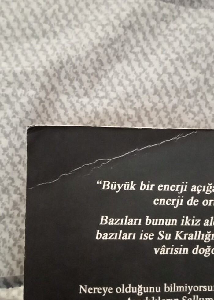 Lordlar ve varisleri (CİLTSİZ) - Görsel 4